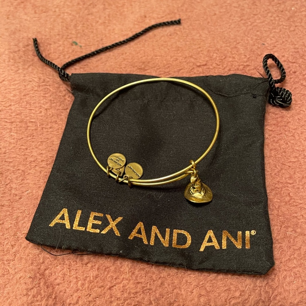 Alex and Ani Harry Potter sorting hat bracelet.